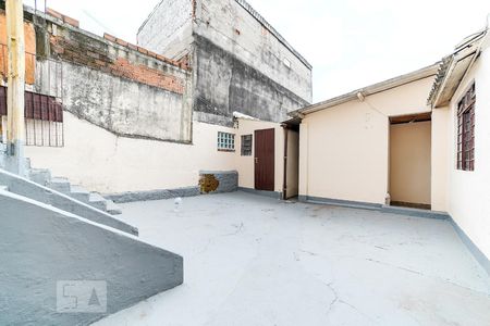 Casa para alugar com 75m², 3 quartos e sem vagaQuintal