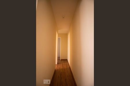 corredor de apartamento para alugar com 2 quartos, 53m² em Jardim do Trevo, Campinas
