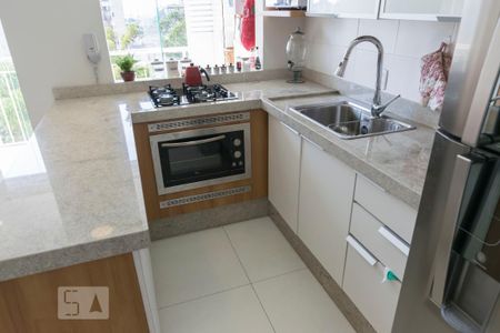 Cozinha (Armários) de apartamento para alugar com 2 quartos, 54m² em Vila Moraes, São Paulo