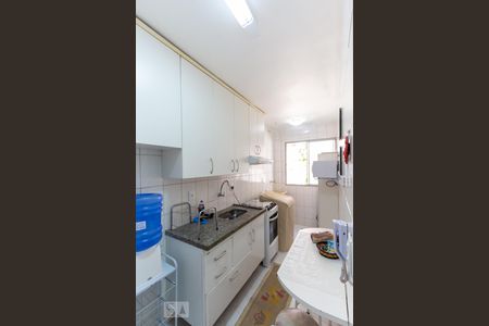 Cozinha de apartamento para alugar com 2 quartos, 50m² em Jardim Caboré, São Paulo
