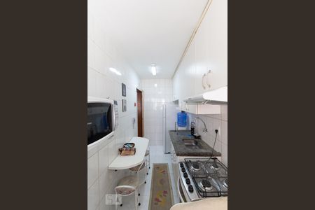 Cozinha - Armários de apartamento para alugar com 2 quartos, 50m² em Jardim Caboré, São Paulo