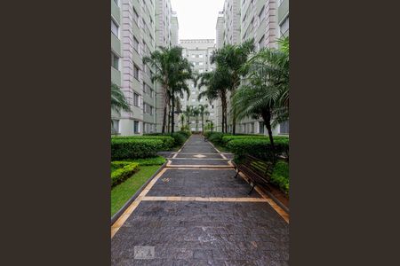 Apartamento à venda com 50m², 2 quartos e sem vaga Apartamento à venda com 50m², 2 quartos e sem vagaÁrea Externa