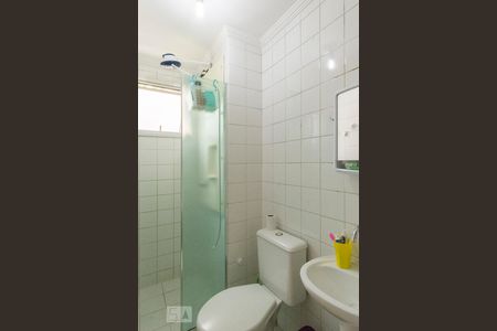 Banheiro de apartamento para alugar com 2 quartos, 50m² em Rio Pequeno, São Paulo