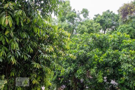 Vista de kitnet/studio para alugar com 1 quarto, 25m² em Catete, Rio de Janeiro