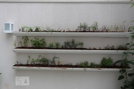 Apartamento à venda com 35m², 2 quartos e sem vagaHorta coletiva