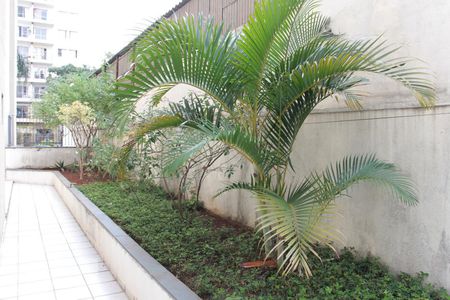 Apartamento à venda com 77m², 3 quartos e 1 vagaÁrea comum