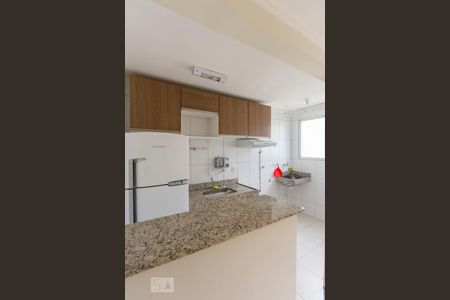 cozinha de apartamento à venda com 2 quartos, 47m² em Loteamento Parque São Martinho, Campinas