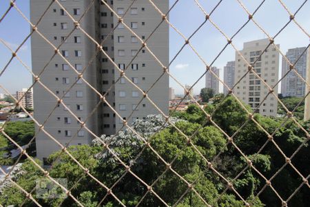 Apartamento à venda com 120m², 3 quartos e 2 vagasVista da suíte 2