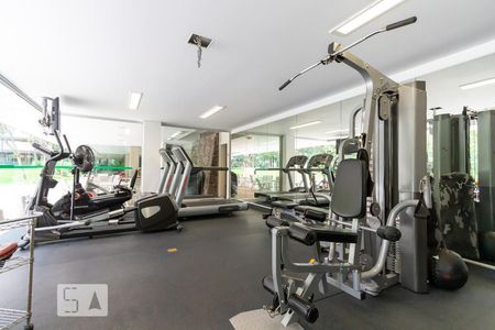 Apartamento à venda com 511m², 4 quartos e 3 vagasAcademia