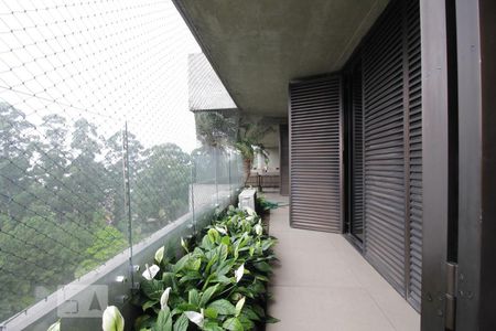 Apartamento à venda com 511m², 4 quartos e 3 vagasVaranda das suítes