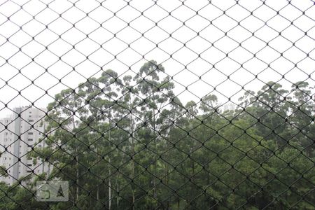 Apartamento à venda com 511m², 4 quartos e 3 vagasVista das suítes