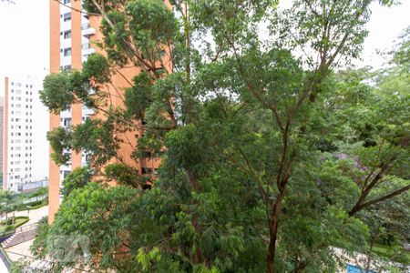 Vista de apartamento para alugar com 2 quartos, 69m² em Vila Andrade, São Paulo