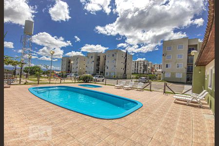 Área comum - Piscina de apartamento para alugar com 2 quartos, 42m² em Duque de Caxias, São Leopoldo