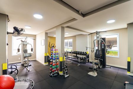 Apartamento para alugar com 65m², 3 quartos e 1 vaga Apartamento para alugar com 65m², 3 quartos e 1 vagaAcademia