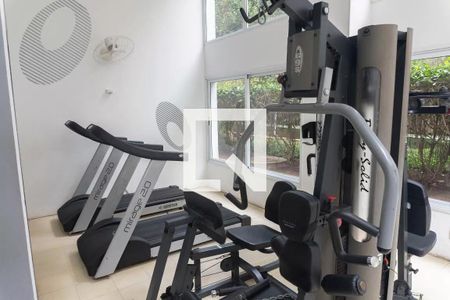 Apartamento para alugar com 52m², 2 quartos e 1 vaga Apartamento para alugar com 52m², 2 quartos e 1 vagaÁrea comum - Academia