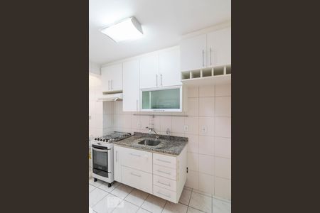 Cozinha de apartamento para alugar com 2 quartos, 50m² em Casa Branca, Santo André