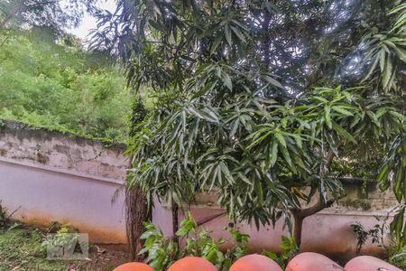 Apartamento para alugar com 2 quartos, 56m² em Pechincha, Rio de Janeiro