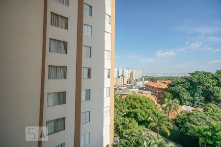 Vista sala de apartamento à venda com 3 quartos, 70m² em Belenzinho, São Paulo