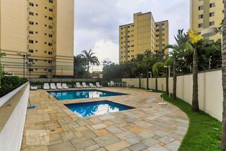 Área comum - Piscina de apartamento para alugar com 3 quartos, 88m² em Vila Monumento, São Paulo