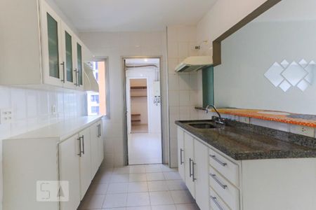 Cozinha - Armários de apartamento para alugar com 3 quartos, 88m² em Vila Monumento, São Paulo