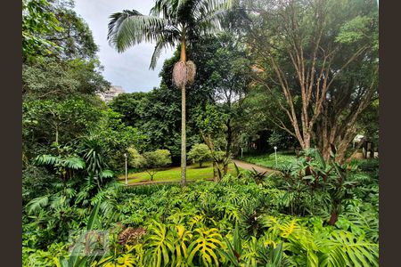 Apartamento para alugar com 165m², 4 quartos e 2 vagas Apartamento para alugar com 165m², 4 quartos e 2 vagasÁrea comum