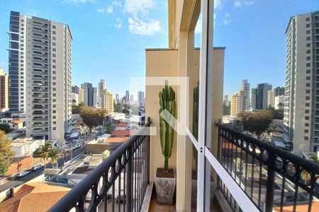 Varanda da Sala  de apartamento para alugar com 3 quartos, 189m² em Cambuí, Campinas