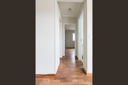Corredor de apartamento para alugar com 2 quartos, 65m² em Jardim Boa Esperança, Campinas
