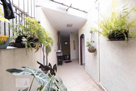 Apartamento para alugar com 60m², 1 quarto e sem vagaQuintal