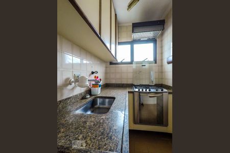 Cozinha de apartamento à venda com 2 quartos, 53m² em Vila das Mercês, São Paulo