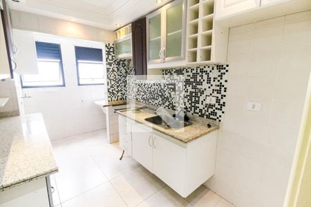 Apartamento para alugar com 52m², 2 quartos e 1 vagaCozinha - Armários