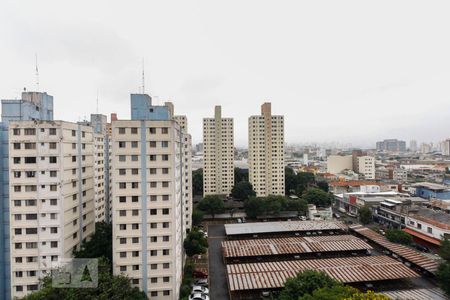 Vista  de apartamento para alugar com 2 quartos, 48m² em Brás, São Paulo