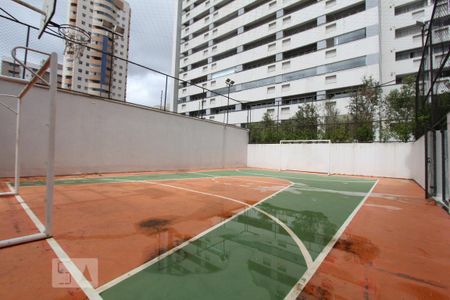 Apartamento para alugar com 35m², 1 quarto e sem vagaQuadra