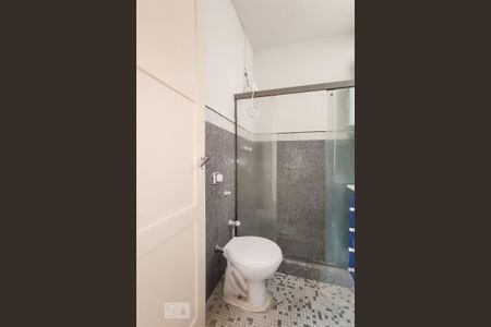 Banheiro de apartamento à venda com 2 quartos, 55m² em Laranjeiras, Rio de Janeiro