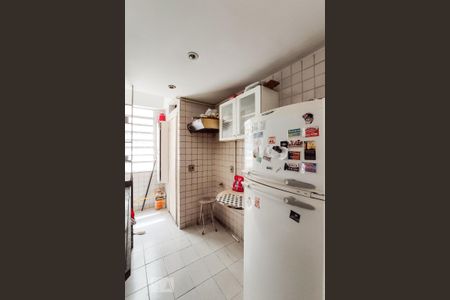 Cozinha de apartamento à venda com 2 quartos, 55m² em Laranjeiras, Rio de Janeiro