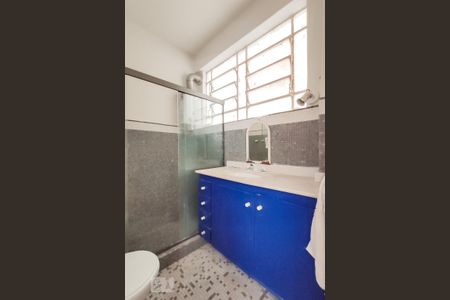 Banheiro de apartamento à venda com 2 quartos, 55m² em Laranjeiras, Rio de Janeiro