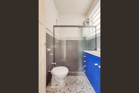 Banheiro de apartamento à venda com 2 quartos, 55m² em Laranjeiras, Rio de Janeiro