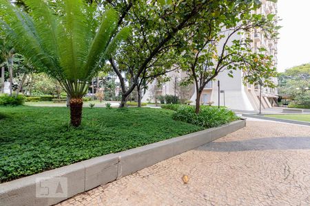 Jardim de apartamento para alugar com 1 quarto, 55m² em Vila Olímpia, São Paulo