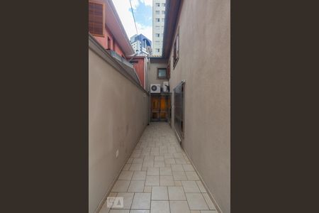 Casa para alugar com 336m², 6 quartos e 3 vagasQuintal