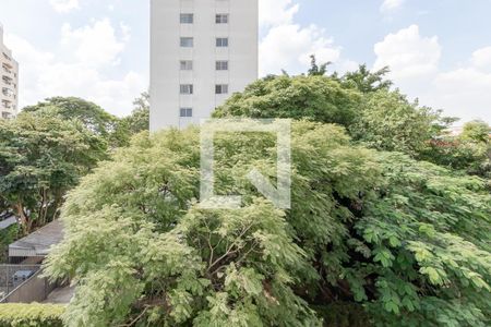 Vista do Quarto 1 de apartamento para alugar com 3 quartos, 88m² em Campo Belo, São Paulo
