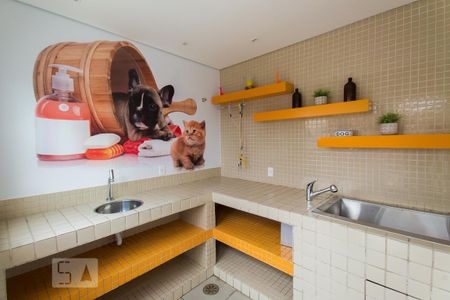 Apartamento para alugar com 41m², 1 quarto e sem vagaÁrea comum - Pet Place 