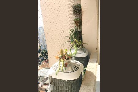 Apartamento para alugar com 2 quartos, 63m² em Vila Monte Alegre, São Paulo