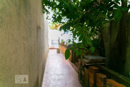 Casa à venda com 250m², 4 quartos e 4 vagasQuintal