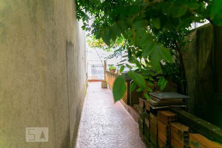 Casa à venda com 250m², 4 quartos e 4 vagasQuintal