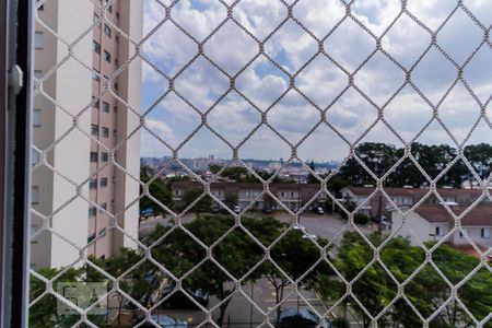 Vista do Quarto 2 de apartamento para alugar com 3 quartos, 77m² em Jardim Santa Maria, São Paulo