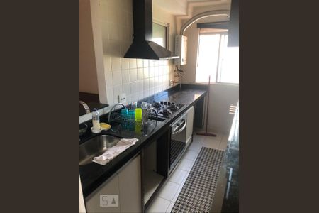 cozinha de apartamento para alugar com 2 quartos, 65m² em Residencial Parque da Fazenda, Campinas