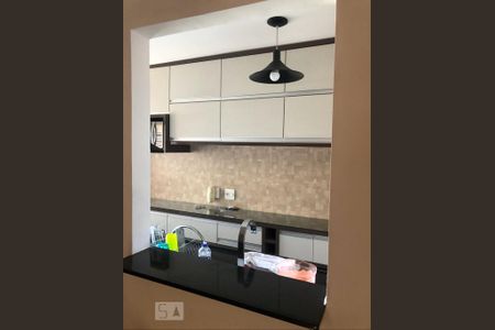 cozinha de apartamento para alugar com 2 quartos, 65m² em Residencial Parque da Fazenda, Campinas