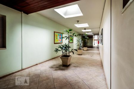 Apartamento para alugar com 67m², 2 quartos e 1 vagaCozinha