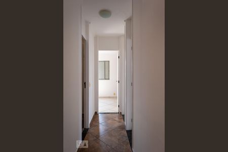 Corredor dos Quartos de apartamento para alugar com 3 quartos, 63m² em Vila Carrao, São Paulo