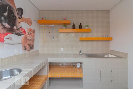 Apartamento para alugar com 35m², 1 quarto e sem vaga Apartamento para alugar com 35m², 1 quarto e sem vagaEspaço pet
