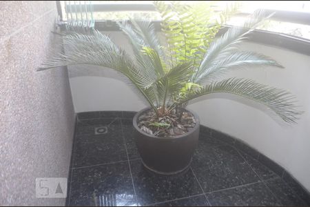 Apartamento à venda com 150m², 4 quartos e 2 vagasVaranda